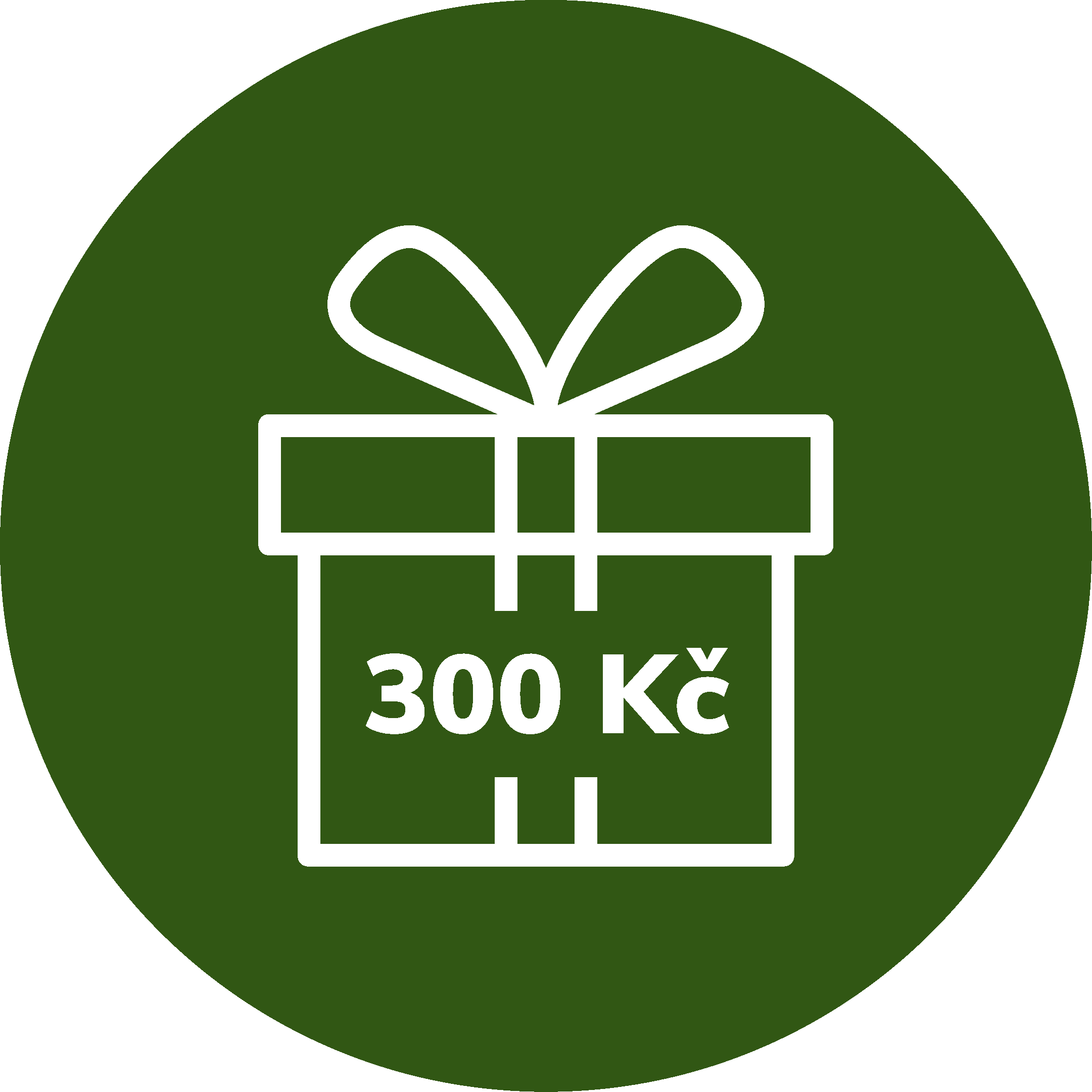 do 300 Kč